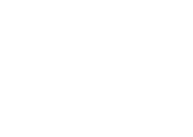 Jerusalem Insurance